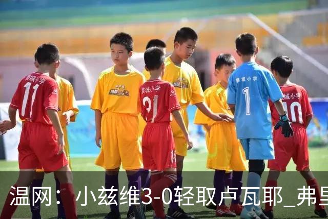 温网：小兹维3-0轻取卢瓦耶 弗里茨贝雷蒂尼挺进32强