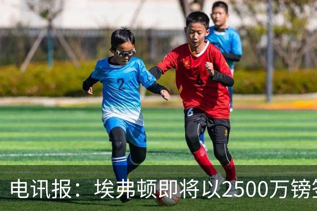 电讯报：埃弗顿即将以2500万镑签下米堡中场哈克尼